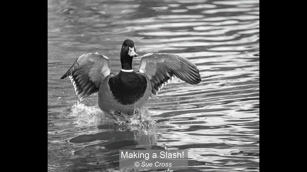 07_Making a Slash!_Sue Cross